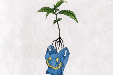 Bagseed chronicles