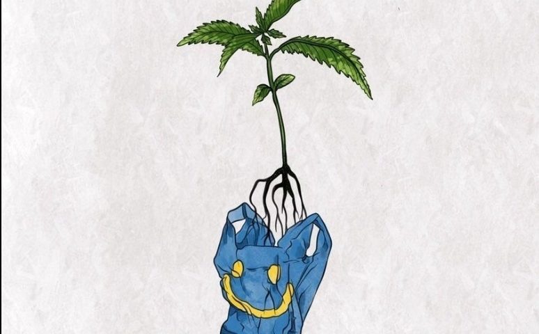 Bagseed chronicles