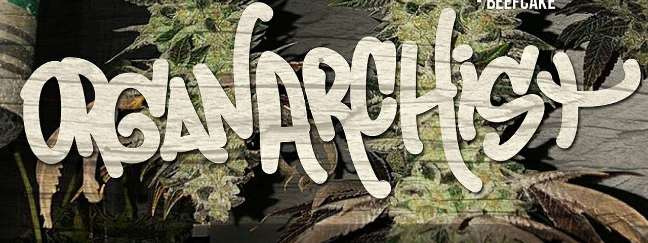Organarchist tv bg final1 (1)